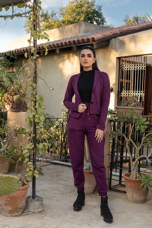 Purple tracksuit with Coat and sweatpants
